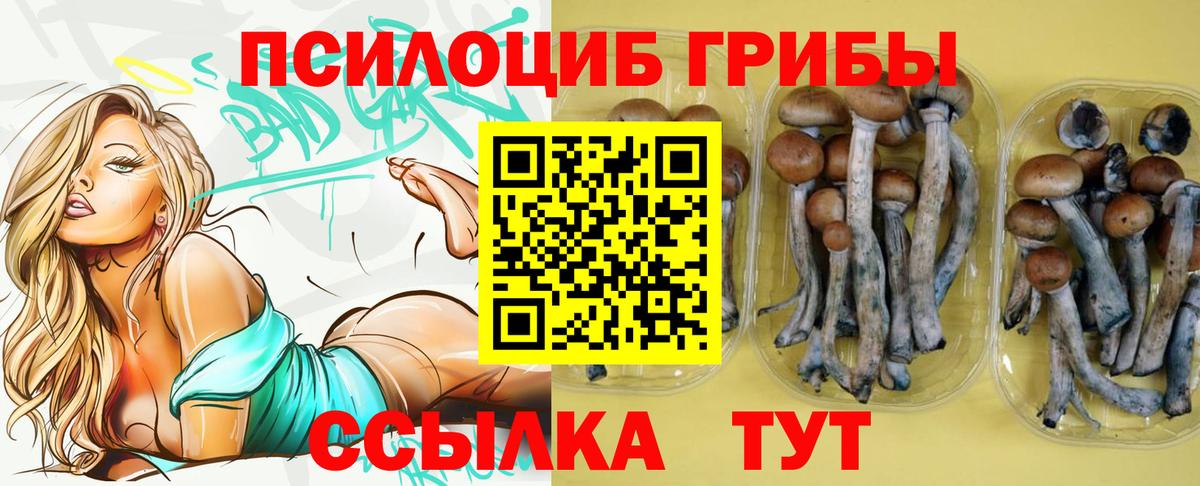 наркотики  Вход с VPN  Соликамск  Галлюциногенные грибы прущие грибы 